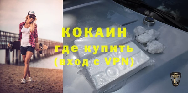 крисы Тында