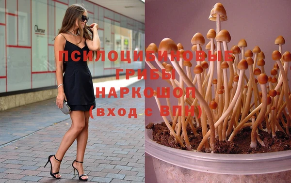 метадон Аркадак