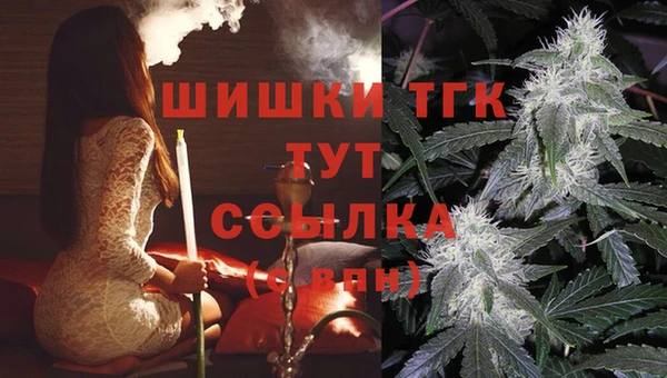 apvp Туринск