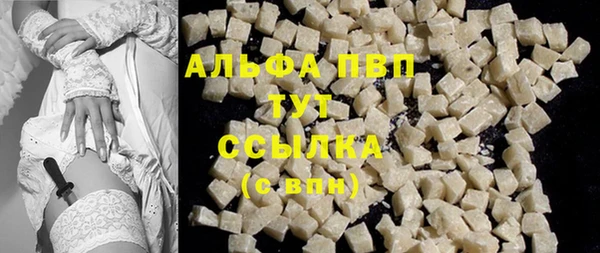 молекула духа Арсеньев